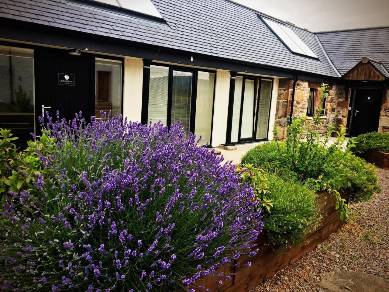 Gask House Farm Cottages إينفيرنيس المظهر الخارجي الصورة