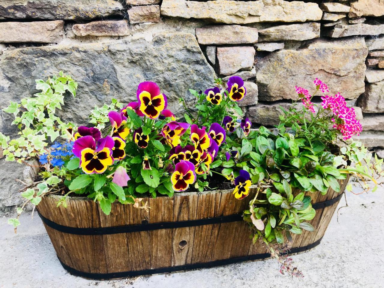 Gask House Farm Cottages إينفيرنيس المظهر الخارجي الصورة